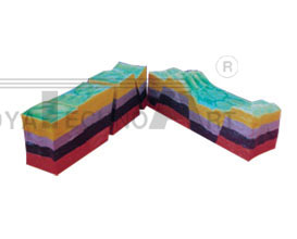 The model of rupture conformation nd horst develop